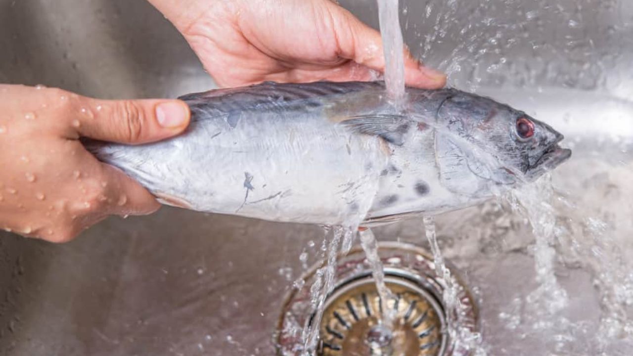 Fish Smell মাছ ধোয়ার পর হাত থেকে আঁশটে গন্ধ যেতে চায় না? এবার সমস্যা