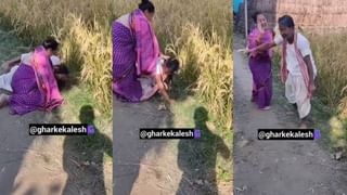 Viral Video: মাথায় নেই চুল এদিকে বিনুনি নাড়িয়ে চলেছেন! অমিতাভ বচ্চন বলছেন, ‘গরমে ওটাই তাঁর পাখা’