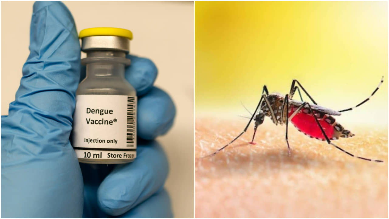 Dengue Vaccine: ডেঙ্গিকে বশে আনতে বিরাট পদক্ষেপ ICMR-র, অগস্টেই শুরু ভ্যাকসিনের ফেজ-৩ ট্রায়াল