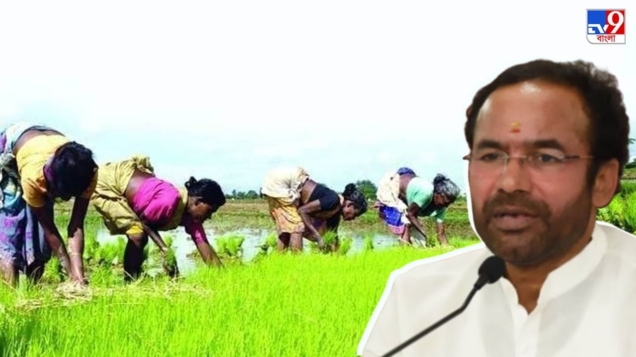 G Kishan Reddy on MSP increase: খরিফ শস্যের ন্যূনতম সহায়ক মূল্য বৃদ্ধির জন্য প্রধানমন্ত্রীকে ধন্যবাদ কেন্দ্রীয় পর্যটনমন্ত্রীর