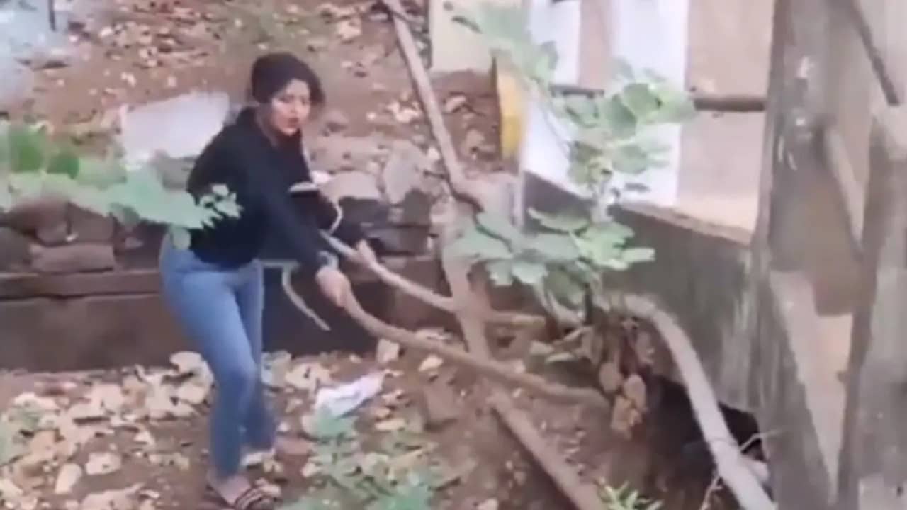Viral Video: অবিশ্বাস্য! খালি হাতে দুটি বিশালাকার কোবরাকে ধরল মেয়েটি, নেটিজ়েনরা হতবাক