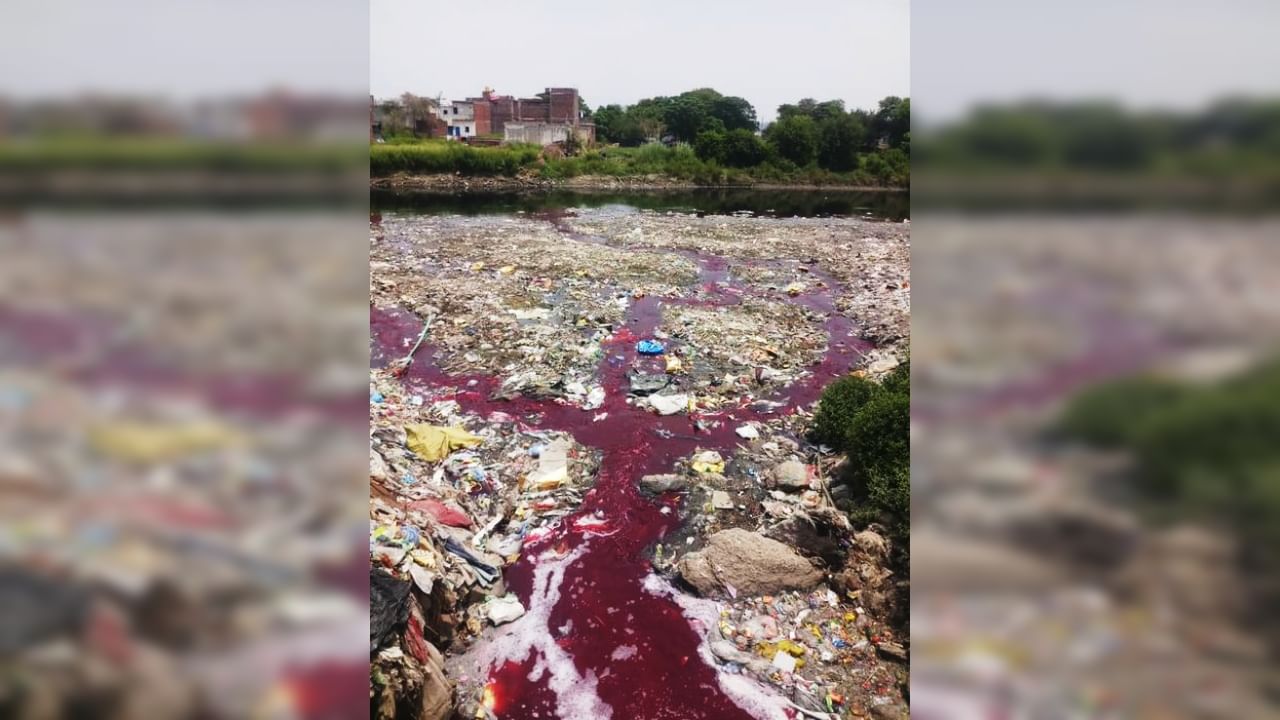 Hindon River: 'মৃত্যুকালে নদীতে রক্তপাত', যোগীরাজ্যে লাল হয়ে গেল হিন্দোনের জল