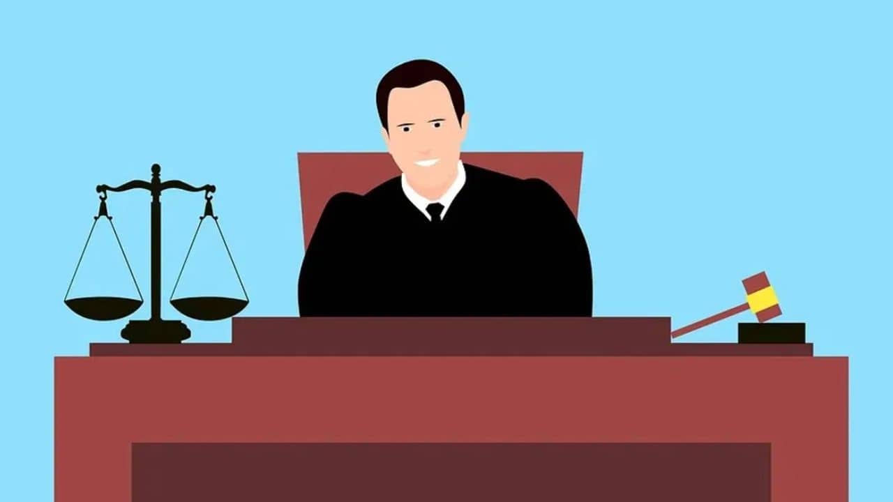 Partha Chatterjee: ভুল ধরলে কেঁদে কূল পাবেন না, CBI-কে কড়া ভর্ৎসনা বিচারকের