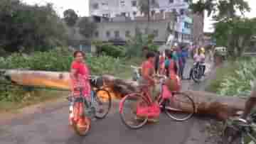 Kalboishakhi in West Bengal: উড়ে গেল বাড়ির চাল, ঝড়ের দাপটে ভেঙে পড়ল দেওয়াল, হুগলি-বর্ধমানে মৃত ২