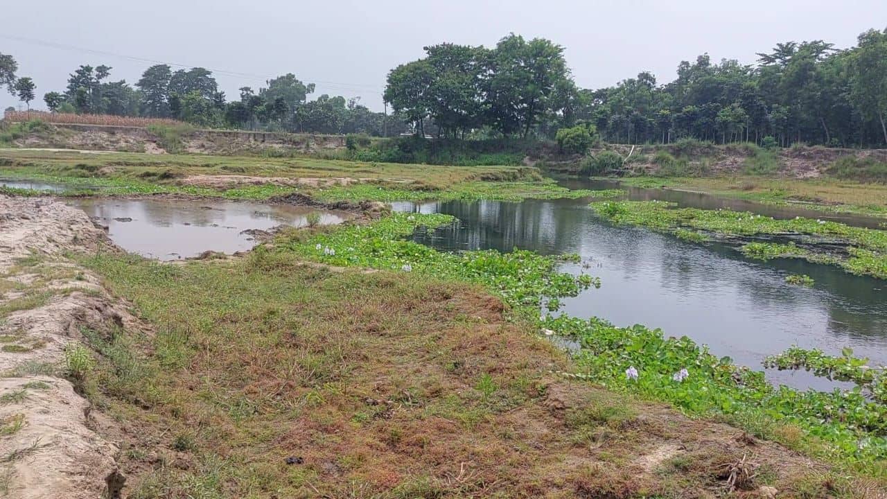 North Dinajpur Drowning: তলিয়ে যাচ্ছিল বোন, ভাইকে কোলে নিয়ে বাঁচাতে গিয়েছিল দিদি, সলিল সমাধি ৩ শিশু
