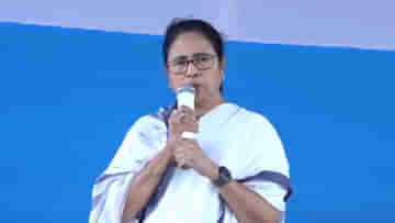 Mamata Banerjee LIVE: কোথাও গন্ডগোল, আবার কোথাও গ্রুপিজ়ম... মমতার মুখেই স্পষ্ট শাসকের দ্বন্দ্ব