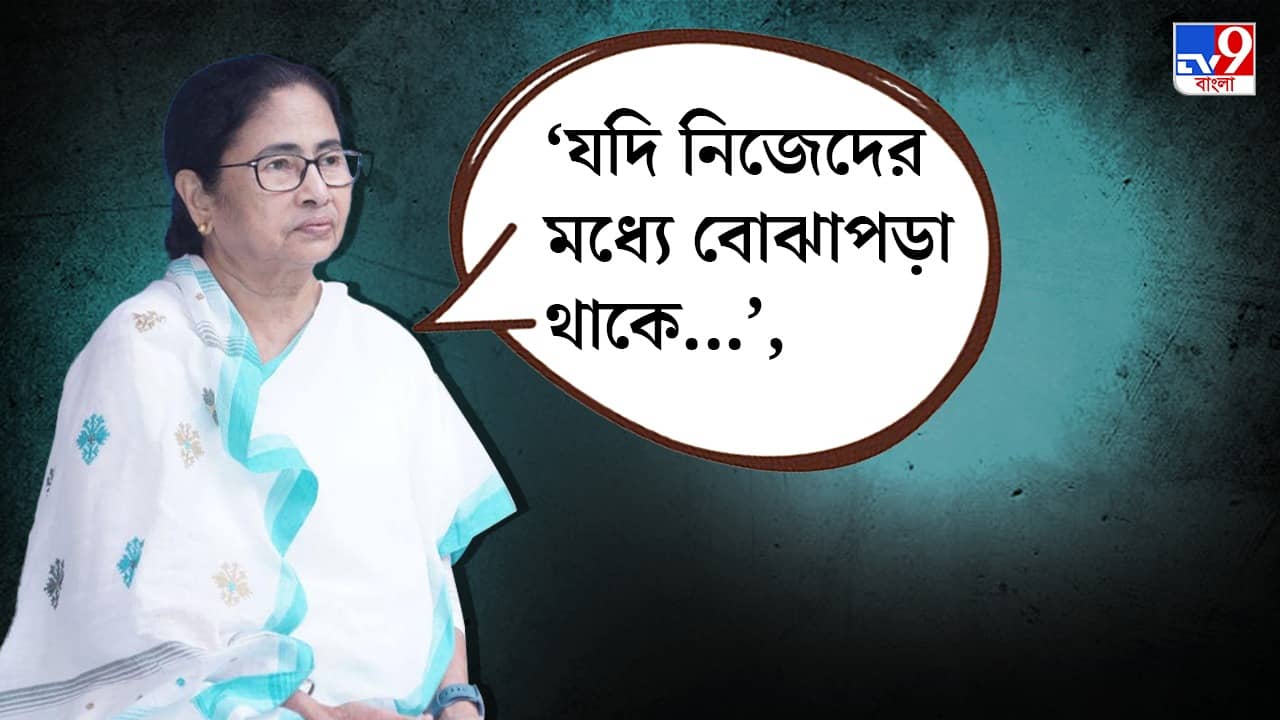 Mamata Banejee: তৃণমূল ঝগড়া না করলে, তৃণমূলকে হটানোর ক্ষমতা কারও নেই: মমতা