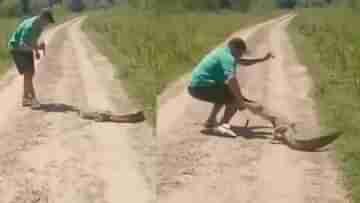 Viral Video: কুমিরের পিঠে ছুরি মারার দুঃসাহস! হাতে নাতে তার জবাব মিলল, হাড়হিম করা ভিডিয়ো