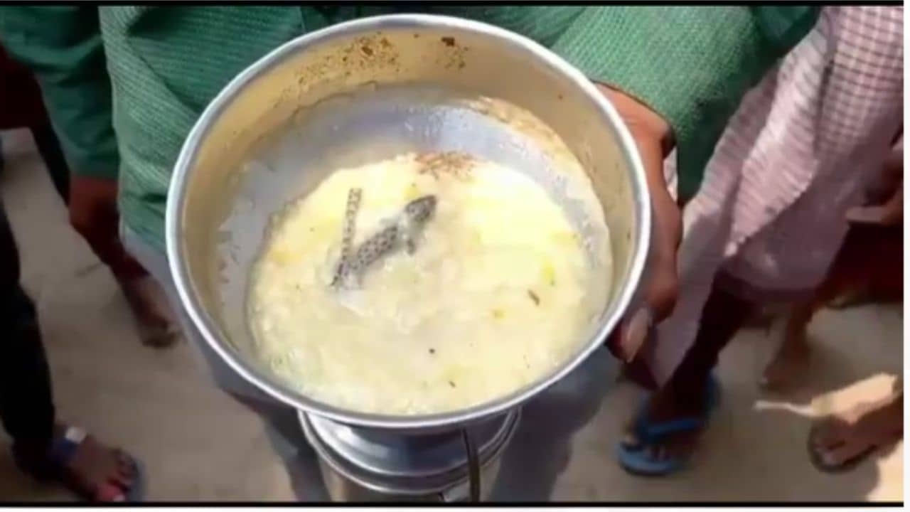 Mid Day Meal: ঢাকনাটা সরাতেই ডিম সমেত টিকটিকিটা ঠেলে উঠল, মিড ডে মিলে আবারও কেলেঙ্কারি