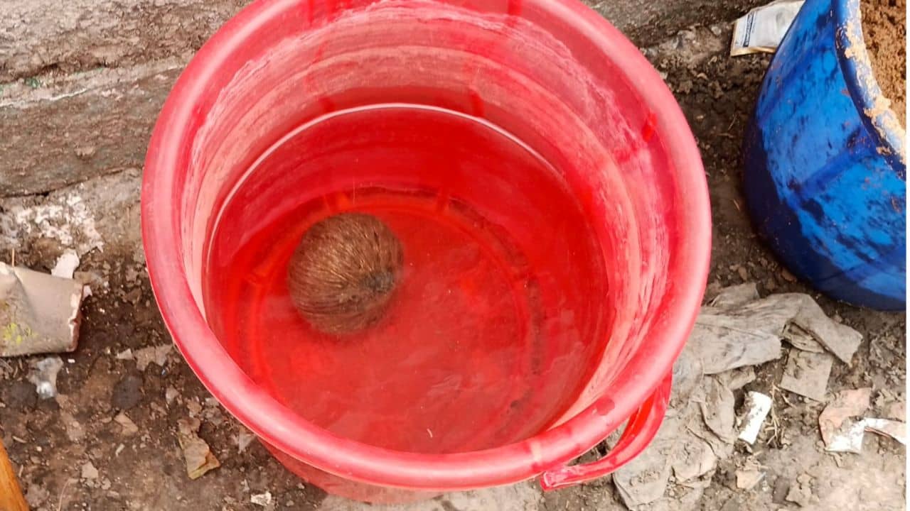 TMC: দলীয় নেত্রীর বাড়িতে বোমা মারার অভিযোগ তৃণমূল প্রধানের বিরুদ্ধে, বিধায়ক বললেন, পটকা ফেটেছে