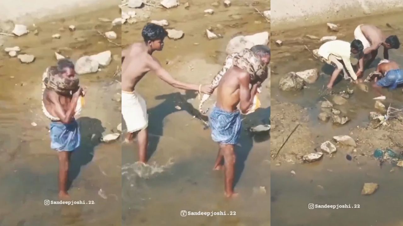 Viral Video: মারণপ্যাঁচ! বৃদ্ধের গলা পেঁচিয়ে ধরল বিরাট অজগর, ছাড়াতে গেলেই হাঁ মুখ করে হুঙ্কার, তারপর... Viral Video: মারণপ্যাঁচ! বৃদ্ধের গলা পেঁচিয়ে ধরল বিরাট অজগর, ছাড়াতে গেলেই হাঁ মুখ করে হুঙ্কার, তারপর...