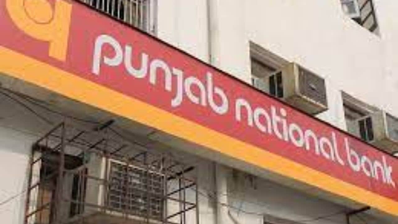 PNB Recruitment 2023: ২৪০ শূন্যপদে কর্মী নিয়োগ, পঞ্জাব ন্যাশনাল ব্যাঙ্ক দিচ্ছে দারুণ সুযোগ, আবেদন করুন এখনই