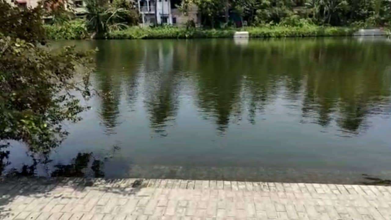 Child Death: বারণ সত্বেও পুকুরে নেমে স্নান, চোখের নিমেশে জলে তলিয়ে মৃত্যু ২ শিশুর