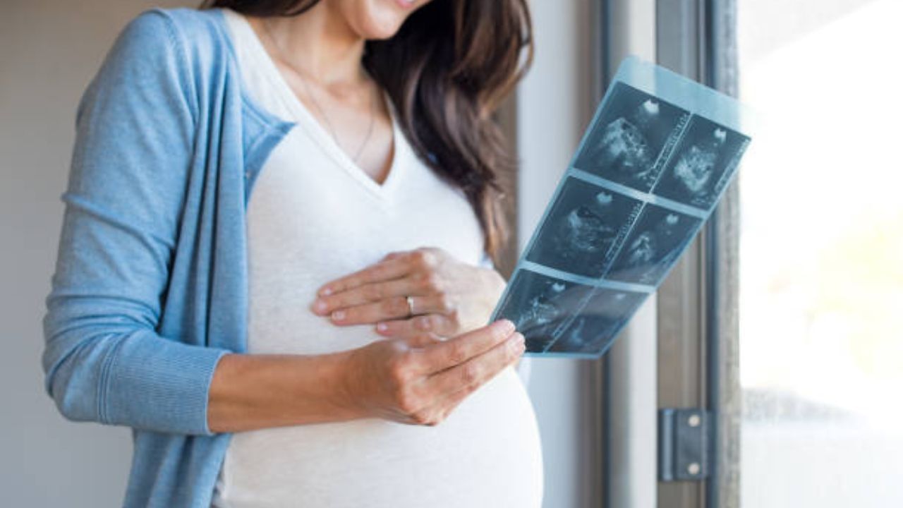 Maternity leave: মাতৃত্বকালীন ছুটি না দিয়ে মহিলাদের অধিকার ও মর্যাদাকে অস্বীকার করা যায় না: ওড়িশা হাইকোর্ট