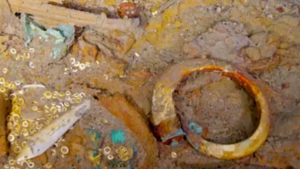 Shark Tooth Necklace: টাইটানিকের ধ্বংসাবশেষ থেকে মিলল হাঙরের দাঁতে তৈরি নেকলেস, মালিকের সন্ধানে AI ব্যবহার