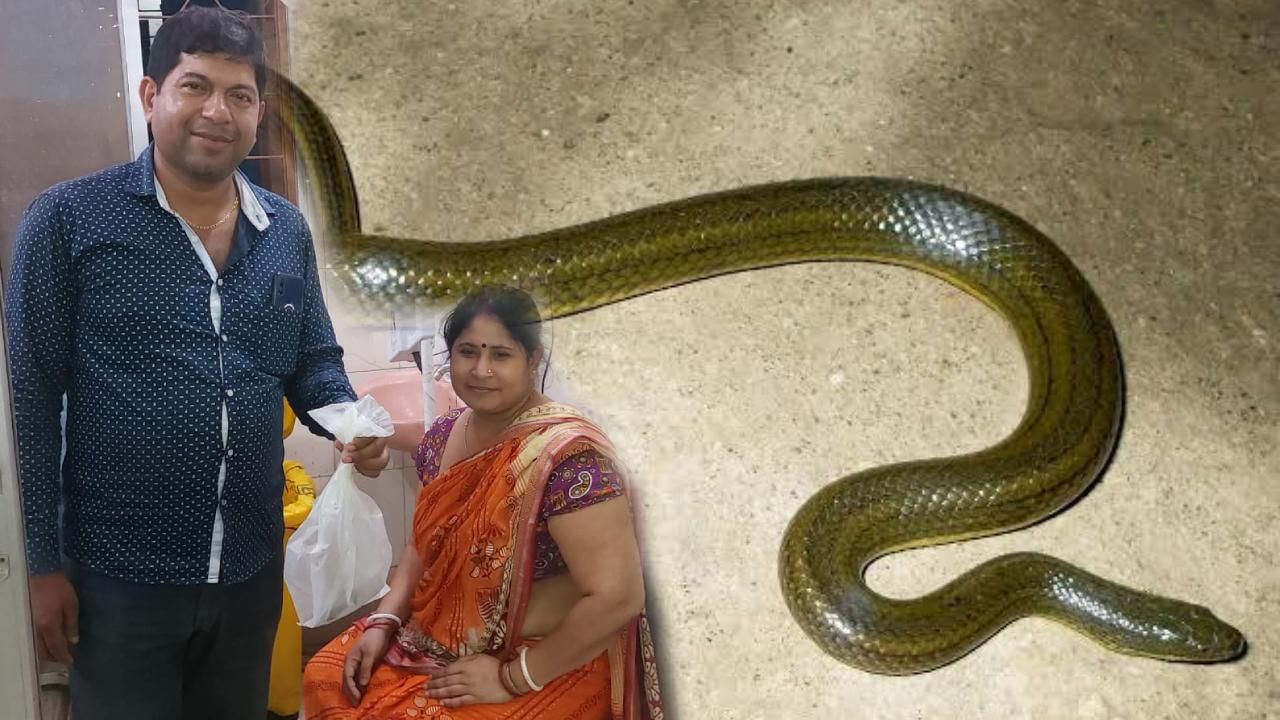 Snake in Dhupguri: আস্ত সাপ নিয়ে সোজা হাসপাতালে মহিলা, হুলুস্থুল কাণ্ড ধূপগুড়িতে