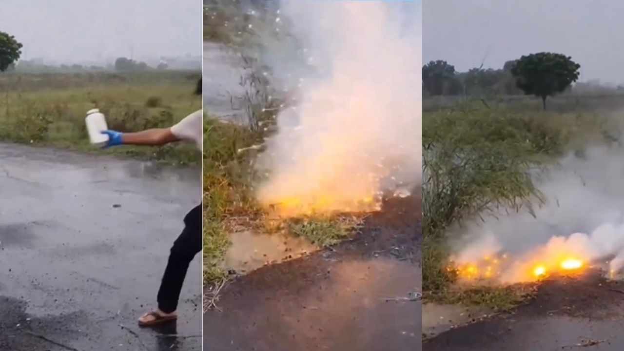 Viral Video: জলের মধ্যে ফেলা হল কয়েক টুকরো সোডিয়াম, ফলাফল দেখে নেটিজ়েনদের মাথায় হাত! Viral Video: জলের মধ্যে ফেলা হল কয়েক টুকরো সোডিয়াম, ফলাফল দেখে নেটিজ়েনদের মাথায় হাত!