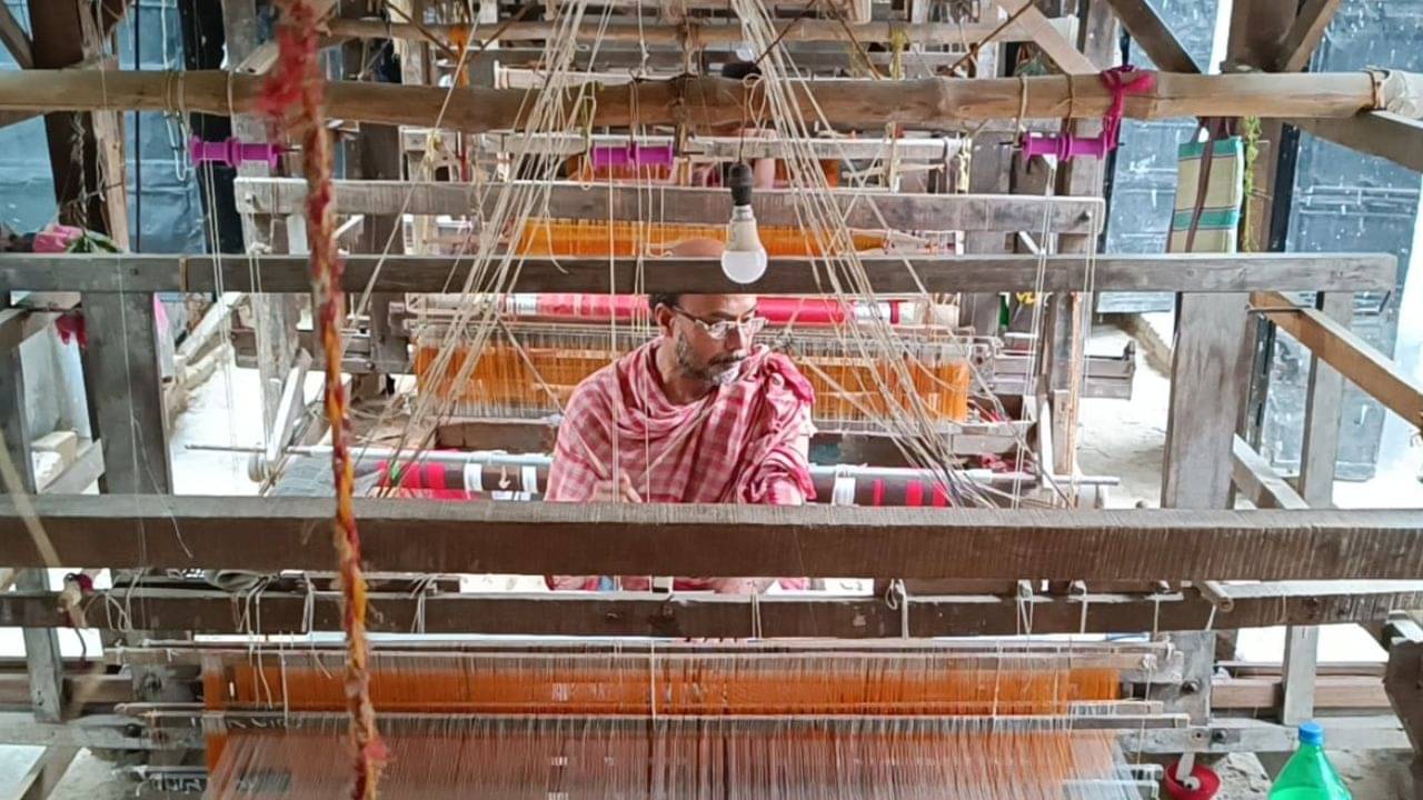 Shantipur Tant Artist: দিনে ৫০ টাকা আয়ে আর কতদিন! অতীত হয়ে যাবে না তো শান্তিপুরের তাঁত? আশঙ্কায় শিল্পীরা