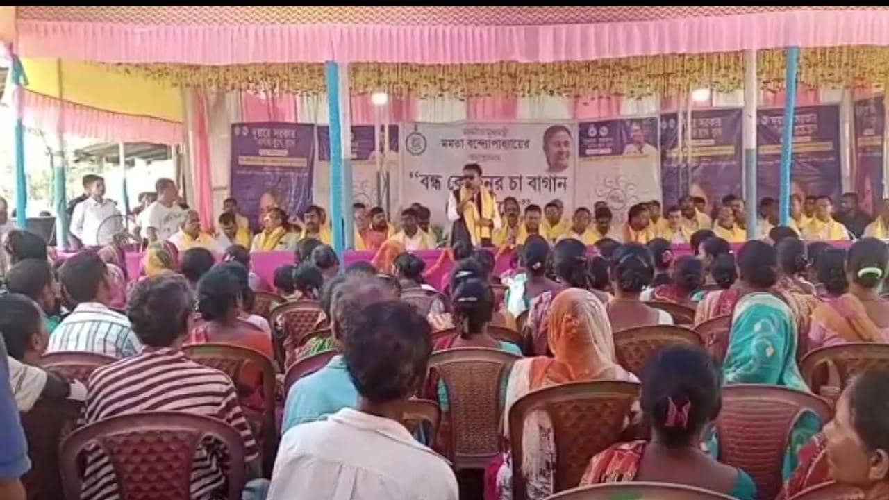 Tea garden in Alipurduar: আশ্বাস দিয়েছিলেন অভিষেক, অবশেষে খুলছে ডুয়ার্সের কোহিনুর চা বাগান