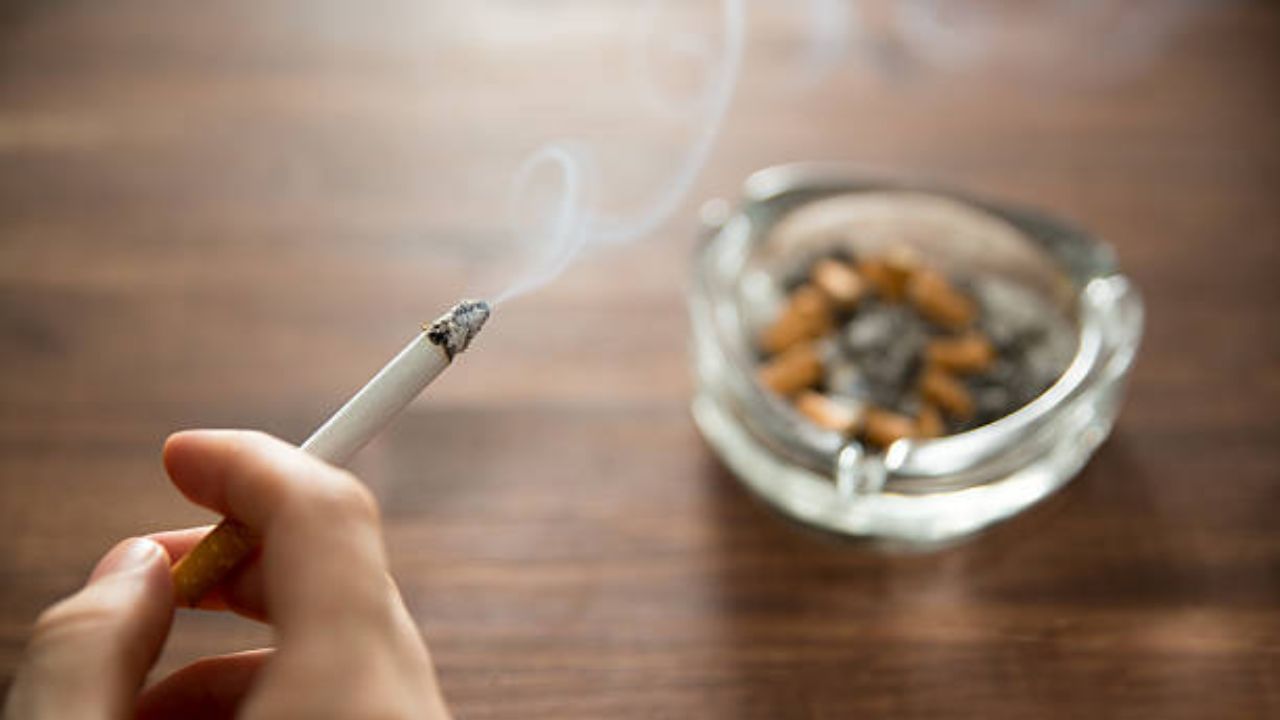 World No Tobacco Day: রোজ তামাক খেলে শরীরে ভিটামিন-মিনারেল কিছুই থাকবে না, আসন্ন মৃত্যু