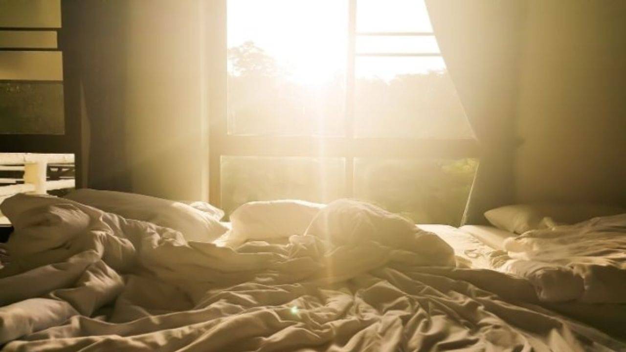 Vastu Tips for Bed: দেরিতে ঘুম থেকে ওঠা, তারপর পড়েই থাকে বাসি বিছানা! বাস্তুমতে কী কী সর্বনাশ ডাকছেন?