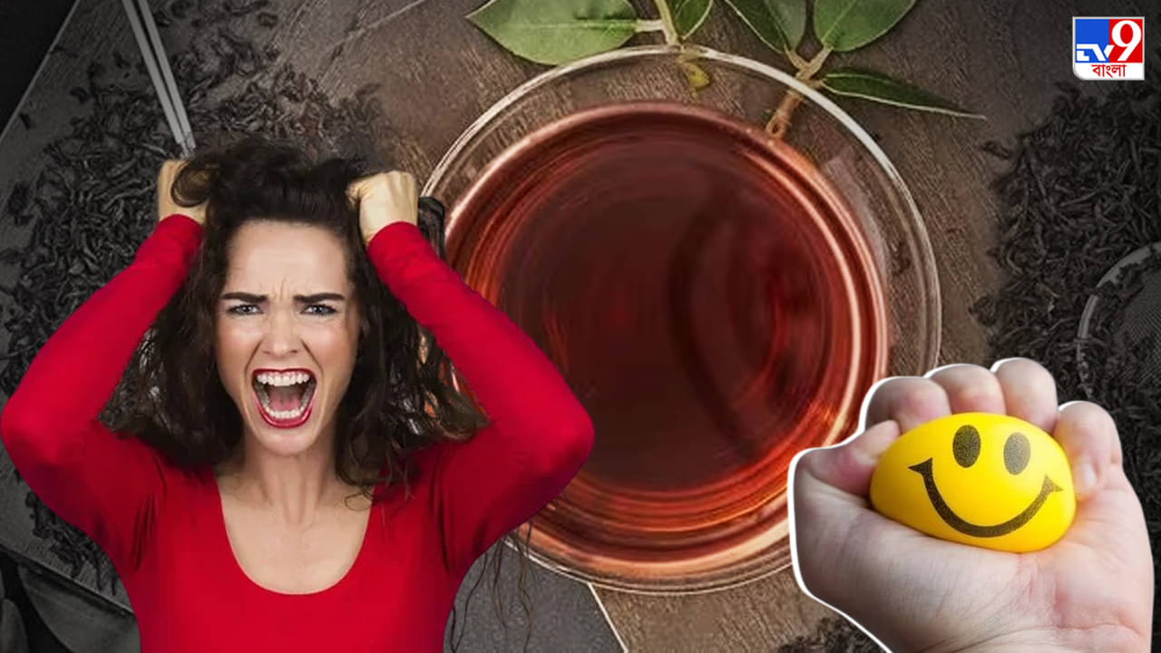 Anger Control Drinks: একটুতেই মাথা গরম? রাগ কমান আয়ুর্বেদ পানীয়র গুণে
