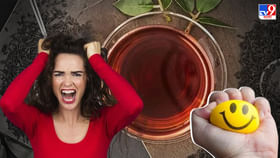 Anger Control Drinks: একটুতেই মাথা গরম? রাগ কমান আয়ুর্বেদ পানীয়র গুণে Anger Control Drinks: একটুতেই মাথা গরম? রাগ কমান আয়ুর্বেদ পানীয়র গুণে