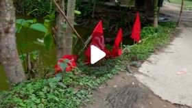 Bhangar News: ভাঙড়ে তোলা যাবে না লাল পতাকা! Bhangar News: ভাঙড়ে তোলা যাবে না লাল পতাকা!