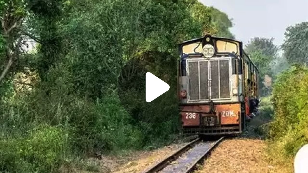 Free Train Journey: বিনা পয়সায় ট্রেন যাত্রা!