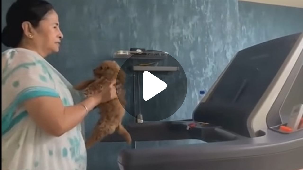 Mamata Banerjee News: রবিবার সেলেবদের হার মানিয়ে নজর কাড়লেন মুখ্যমন্ত্রী Mamata Banerjee News: রবিবার সেলেবদের হার মানিয়ে নজর কাড়লেন মুখ্যমন্ত্রী