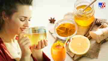 Morning Detox Drink: মেটাবলিজম বাড়লে তবেই ওজন কমবে, পিজি-হোস্টেলে যাঁরা থাকেন এই ৫ ড্রিংক তারাও বানাতে পারবেন সহজেই