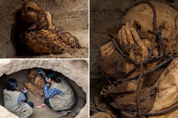 A ѕрookу underground tomb in Peru has yielded a thousand-year-old mummy found in a fetal position.