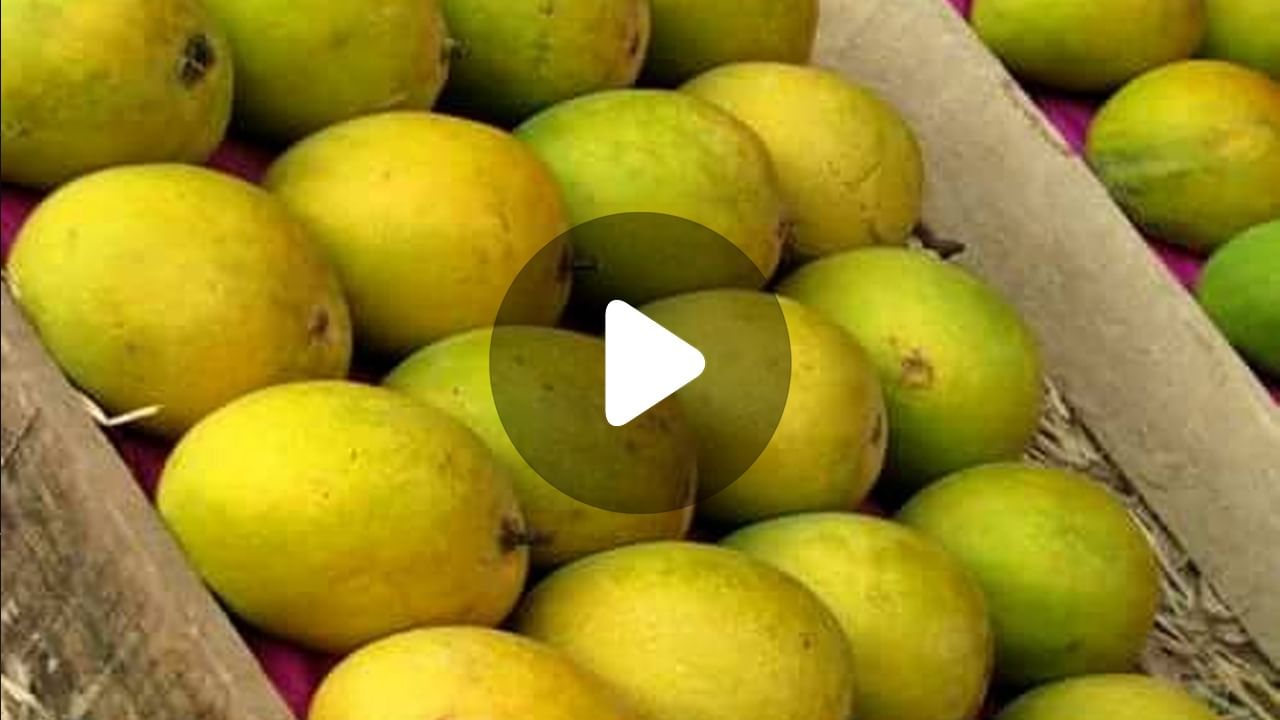 Mango Sales Zepto: ২৫ কোটির আমের অর্ডার