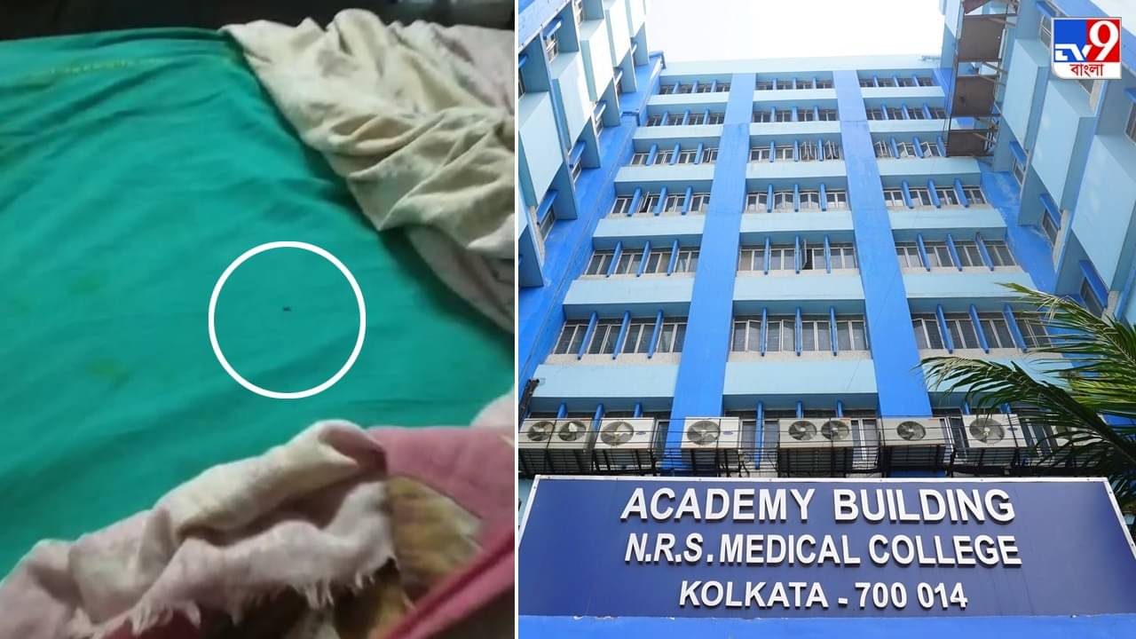 NRS Hospital: আরশোলা-ছারপোকার দাপাদাপিতে সদ্যোজাতদের শরীরে দগদগে ঘা, শিউরে ওঠার মতো ঘটনা এনআরএসে