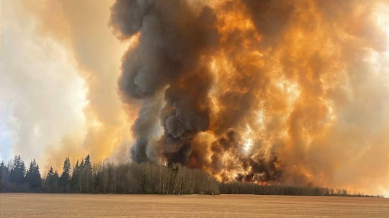 Canada Wildfire: ১১০ জায়গায় দাবানল, নিয়ন্ত্রণের বাইরে ৩৬টি! জ্বলেপুড়েই কি ছাই হবে কানাডা?