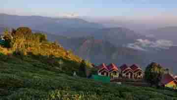 Ahaldara-Darjeeling: চা বাগান আর কাঞ্চনজঙ্ঘা, একসঙ্গে দেখা মিলবে অহলদারা ভিউ পয়েন্টে