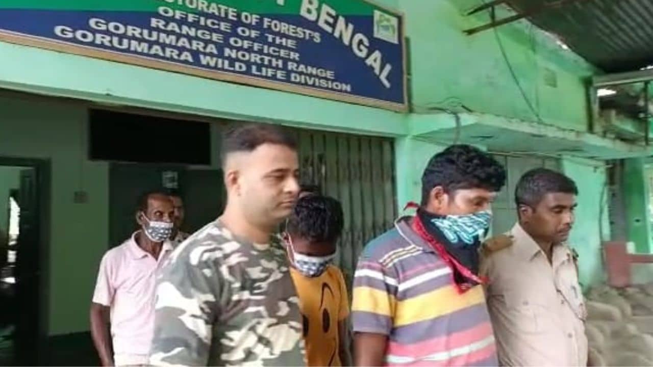 Cheetah Skin: কোথায় পাচার হচ্ছিল চিতা বাঘের চামড়া? মেটেলির চা বাগানে ধরা পড়লেন ৪ জন