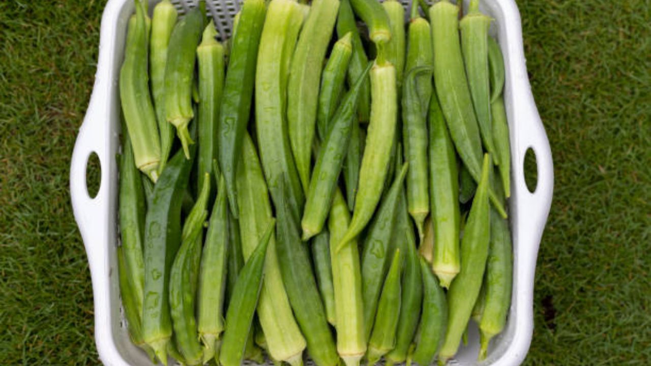 ১০০ গ্রাম ঢ্যাঁড়শের মধ্যে ৩৫ ক্যালোরি, ১.৩ গ্রাম প্রোটিন, ০.২ গ্রাম ফ্যাট রয়েছে। এছাড়া রয়েছে ভিটামিন বি৬, ফোলেট, ভিটামিন সি এবং অ্যান্টিঅক্সিডেন্ট। রক্তে শর্করার মাত্রা নিয়ন্ত্রণে রাখার পাশাপাশি ঢ্যাঁড়শ কোলেস্টেরলের মাত্রাও নিয়ন্ত্রণে রাখতে সাহায্য করে। 