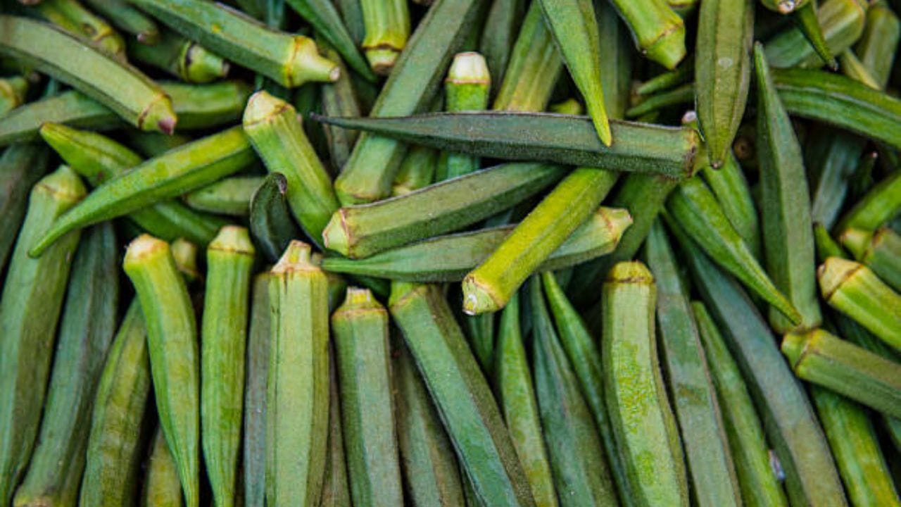 বাজারে এখন গরমে সবজি। ঢ্যাঁড়শ, পটল, লাউ, ঝিঙেতে ভরেছে হেঁশেলে। এই সব সবজির উপকারিতাও অনেক। কিন্তু যখন ডায়াবেটিসের প্রসঙ্গ আসে, কী খাবেন, কী খাবেন না, এই নিয়েই বেশিরভাগ চিন্তিত হয়ে যান। কিন্ত গরমে ঢ্যাঁড়শের সঙ্গে বন্ধুত্ব পাতালে আর সুগার নিয়ে ভাবতে হবে না। 