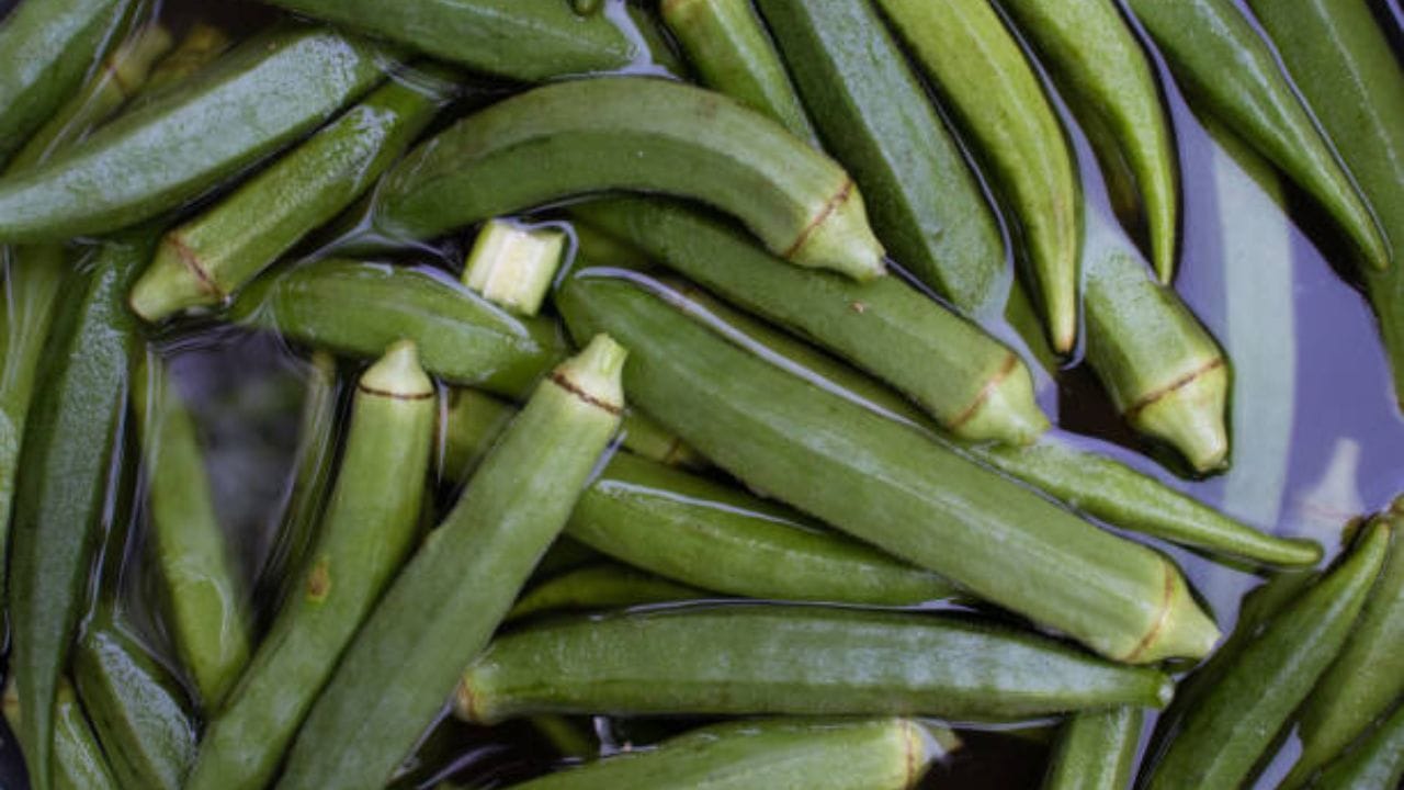 ডায়াবেটিসের রোগীদের সহজেই ওজন বেড়ে যায়। আর ওবেসিটি ধরে নিলে বিপদও বাড়ে। তাই যে সব খাবারে ফাইবার রয়েছে, যে খাবার গ্লাইসেমিক সূচকে নিম্নে রয়েছে, সেই সব সবজি, ফল, গোটা শস্য ডায়াবেটিসের রোগীদের জন্য আদর্শ। আর এখানেই আপনাকে সাহায্য করে ঢ্যাঁড়শ। 