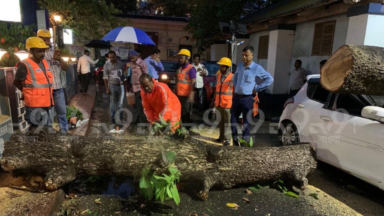 Kalbaisakhi UPDATE: রাজ্যে ঝড়ের বলি বেড়ে ৫, দুর্যোগ থামতেই ট্রেনের গোলমাল, গাছ পড়ে বন্ধ রাস্তা