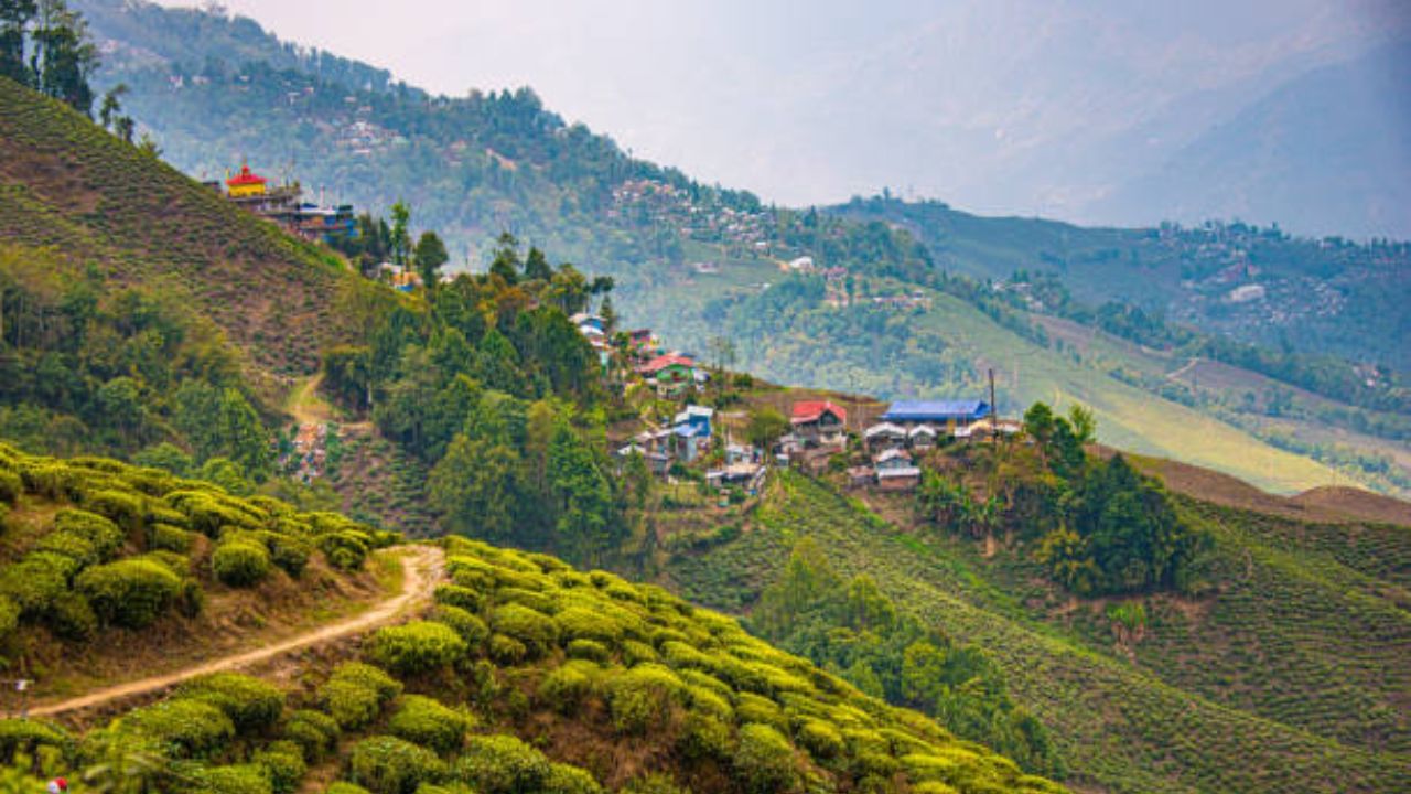 Darjeeling: দার্জিলিং ঘিঞ্জি মনে হয়? ম্যাল থেকে ১৫ টাকা খরচ করে পৌঁছে যান এই অফবিটে