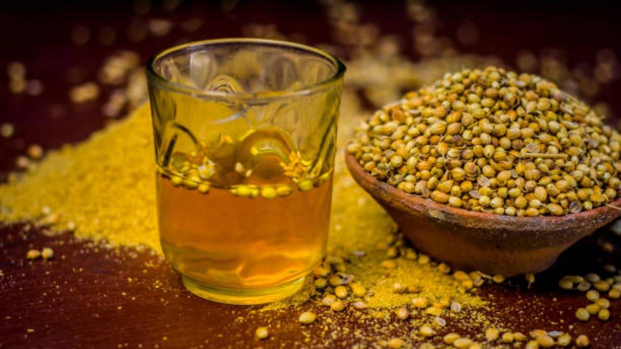 Desi Detox Water: শসা-চিয়া সিড ছেড়ে দেশি ডিটক্স পানীয়ের উপর ভরসা রাখুন, ধনের গুণেও পাতলা হবে কোমর