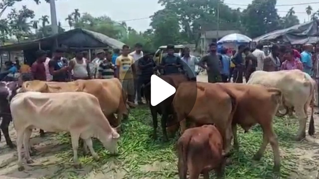 Dhupguri Farmer Protest: ফসলের ন্যায্য দাম না পেয়ে বিক্ষোভে কৃষকরা