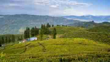 Tea Estate: চা বাগানের মধ্যে ব্রিটিশ বাংলোয় রাত কাটাতে চান? মাত্র ৪,০০০ টাকাতেই ঘুরে নিন ফাগু