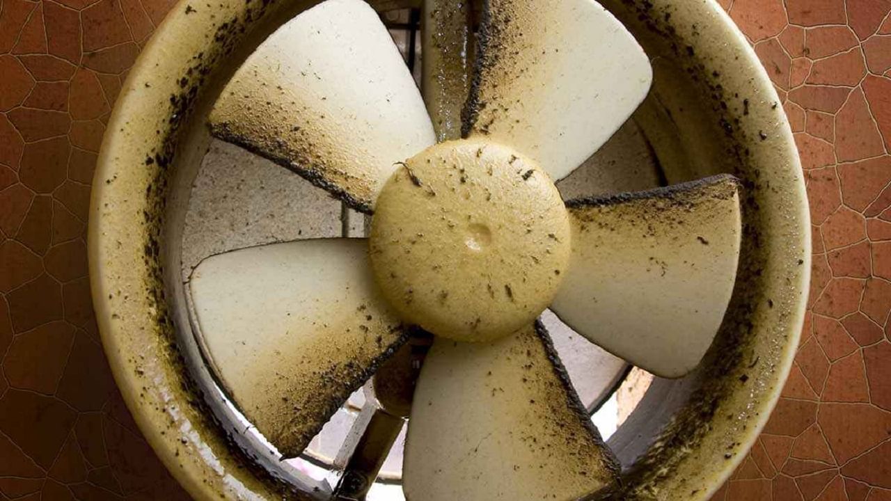 Exhaust Fan Cleaning: সেকেন্ডে ভ্যানিশ Exhaust Fan-এর তেল-কালি, আজই শিখে নিন এই ট্রিকস