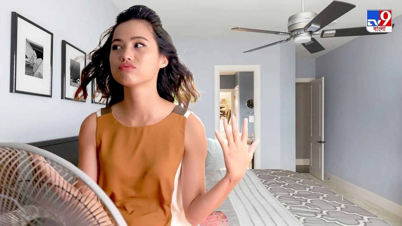 Ceiling Fan Tips: গরম পড়তেই সিলিং ফ্যানের স্পিড হচ্ছে স্লো, মাত্র 70 টাকা খরচ করলেই আবার ঠান্ডা হাওয়া!