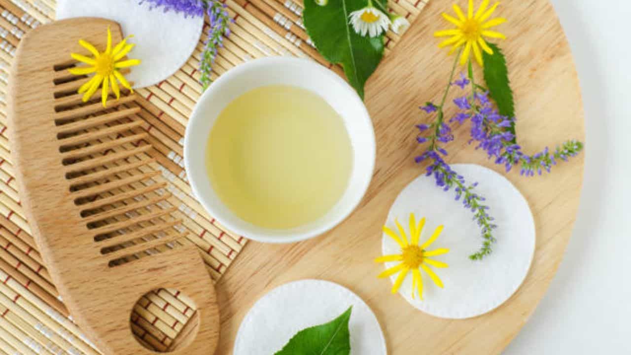 Olive Oil for Hair: দু'মুখো চুলের সমস্যায় ভোগেন? ট্রিম করার বদলে অলিভ অয়েলের মাস্ক মাখুন মাথায় Olive Oil for Hair: দু'মুখো চুলের সমস্যায় ভোগেন? ট্রিম করার বদলে অলিভ অয়েলের মাস্ক মাখুন মাথায়