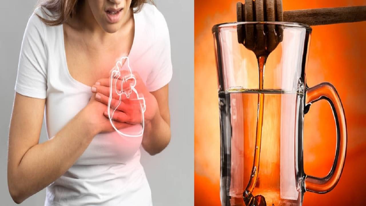 World Hypertension Day: ওষুধ খাওয়ার দিন শেষ, আয়ুর্বেদিক এই টোটকাতেই কমবে রক্তচাপ নিয়ন্ত্রণে থাকবে কোলেস্টেরলও