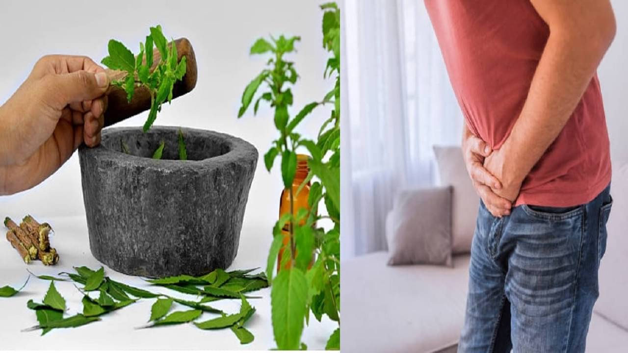 Ayurvedic Treatment For Uric Acid: ওষুধ বা ডাক্তার নয় এই ৫ আয়ুর্বেদিক ভেষজতেই দ্রবীভূত হবে ইউরিক অ্যাসিড